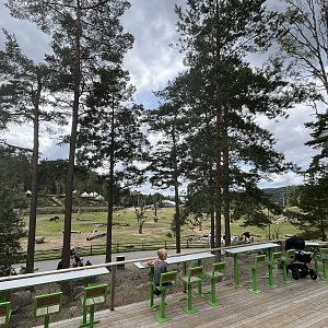 African Savanna - view from restaurant
