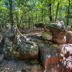 Aug. 2022 - North America: Prairie - Red Wolf Exhibit