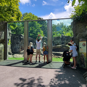 Aug. 2022 - North America: Prairie - Grizzly Bear Glass Viewing
