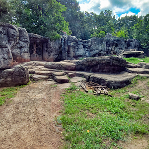 Aug. 2022 - North America: Prairie - Grizzly Bear Exhibit