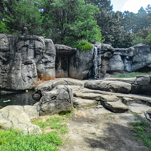 Aug. 2022 - North America: Prairie - Grizzly Bear Exhibit
