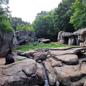 Aug. 2022 - North America: Prairie - Grizzly Bear Exhibit