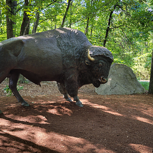 Aug. 2022 - North America: Prairie - Bison Statue