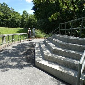 Aug. 2022 - North America: Prairie - Bison/Elk Exhibit (4th Viewing)
