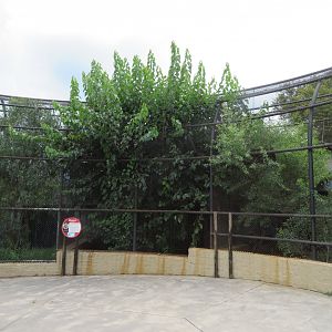 Very overgrown enclosures.