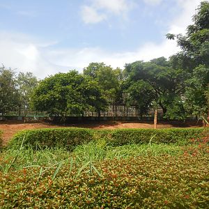 Africa Section - Zebra Enclosure Southern Half