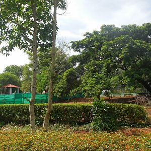 Africa Section - Zebra Enclosure Northern Half