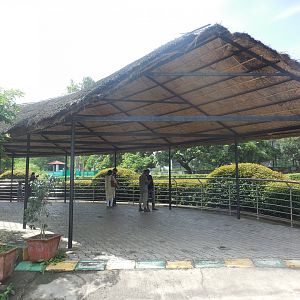 Africa Section - Zebra Viewing