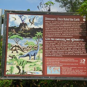Dinosaur Section- Signage
