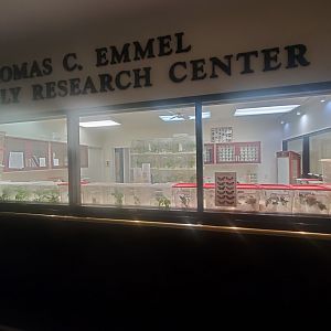 Butterfly World (2022) - Caterpillar Room