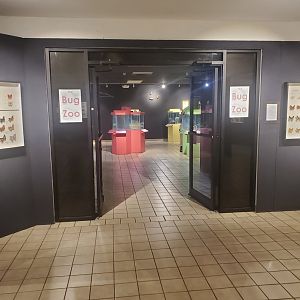 Butterfly World (2022) - Bug  Zoo Entrance