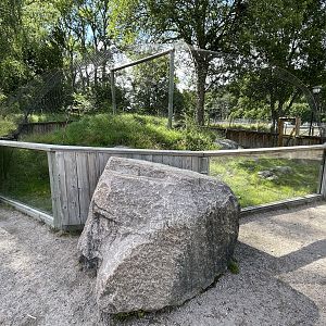 European Ground Squirrel Exhibit #2