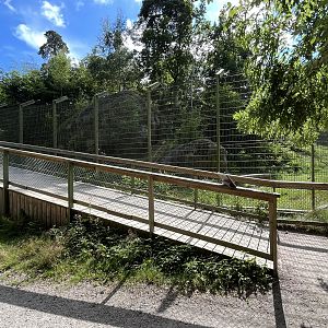 Amur Tiger Exhibit - boardwalk