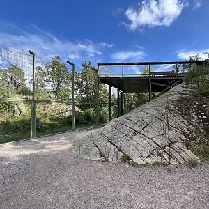 Amur Tiger Exhibit - viewing platform