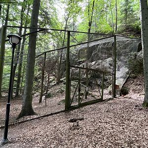 Great Grey Owl Aviary