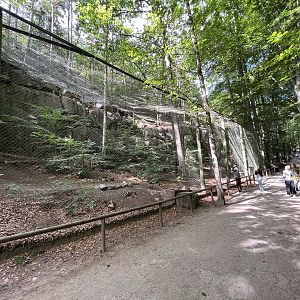 Eurasian Eagle Owl Aviary