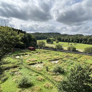 Wetlands Zone - cranes + storks
