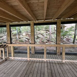Persian Leopard Exhibit