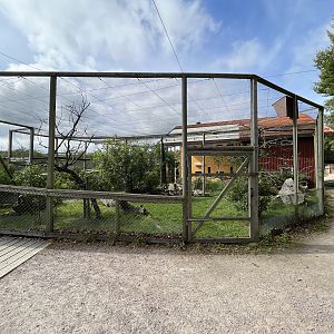 Northern Bald Ibis Aviary