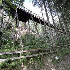 Persian Leopard Exhibit - ground view