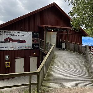 Reptile + Amphibian House (2023)