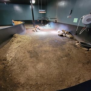Riverside Reptiles - Sulcata, aldabra, and iguana indoor area