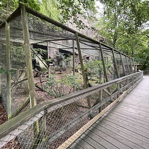 Cabot’s Tragopan Aviary