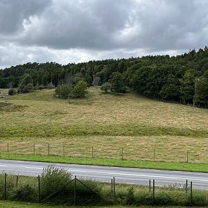 Wisent Exhibit - across road