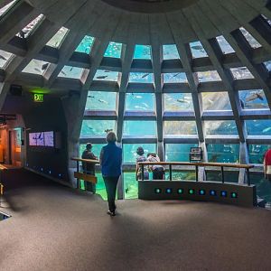 Underwater Dome Exhibit at Seattle Aquarium