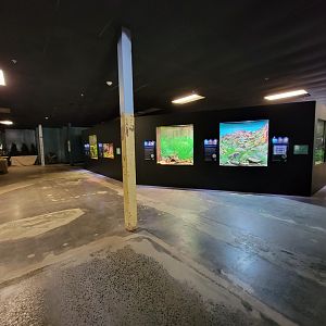 Riverside Reptiles - Exhibits