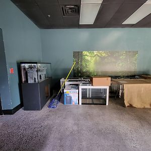 Riverside Reptiles - More tanks to set up