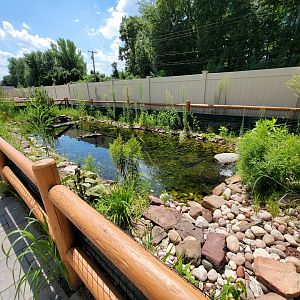 Riverside Reptiles - Outside turtle ponds