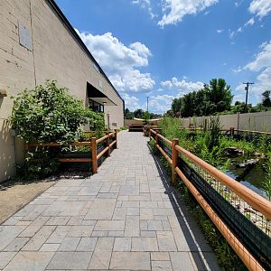 Riverside Reptiles - Outside turtle ponds