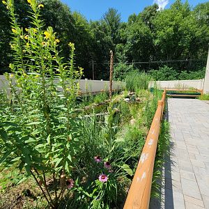 Riverside Reptiles - Outside turtle ponds