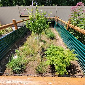 Riverside Reptiles - Outside turtle ponds