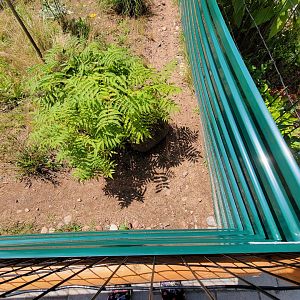 Riverside Reptiles - Outside turtle ponds