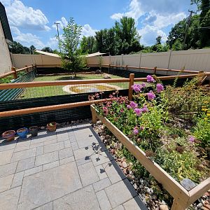 Riverside Reptiles - Outside turtle ponds