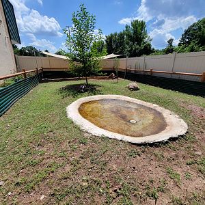 Riverside Reptiles - Aldabra and sulcata yard