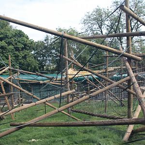 New Orangutan Enclosure