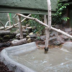 Boa Constrictor Enclosure