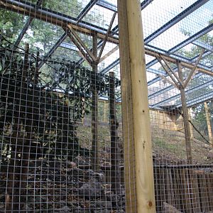 New Snowy Owl Aviary