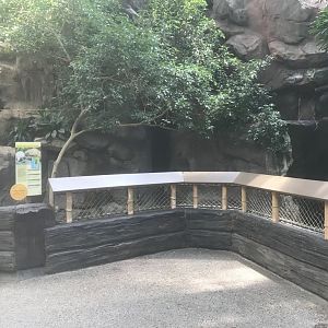 Tropics Trail - Southern Three-Banded Armadillo Exhibit