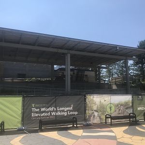 Treetops Trail Construction on Former Monorail Entrance