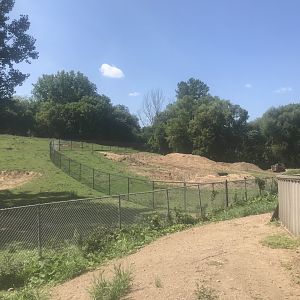 Treetops Trail Construction on American Bison Exhibit