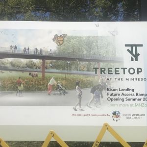 New Concept Art for the Treetops Trail