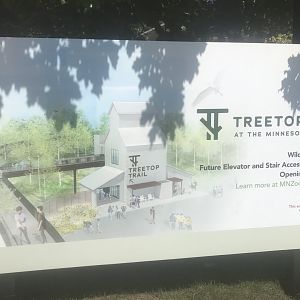 New Concept Art for the Treetops Trail