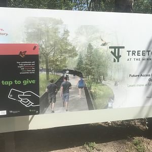 New Concept Art for the Treetops Trail