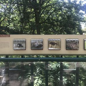 New Signage on Moose Exhibit