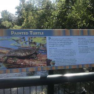 New Signage for Wild Painted Turtles