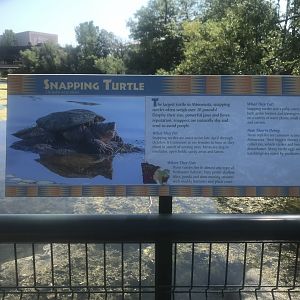 New Signage for Wild Snapping Turtles